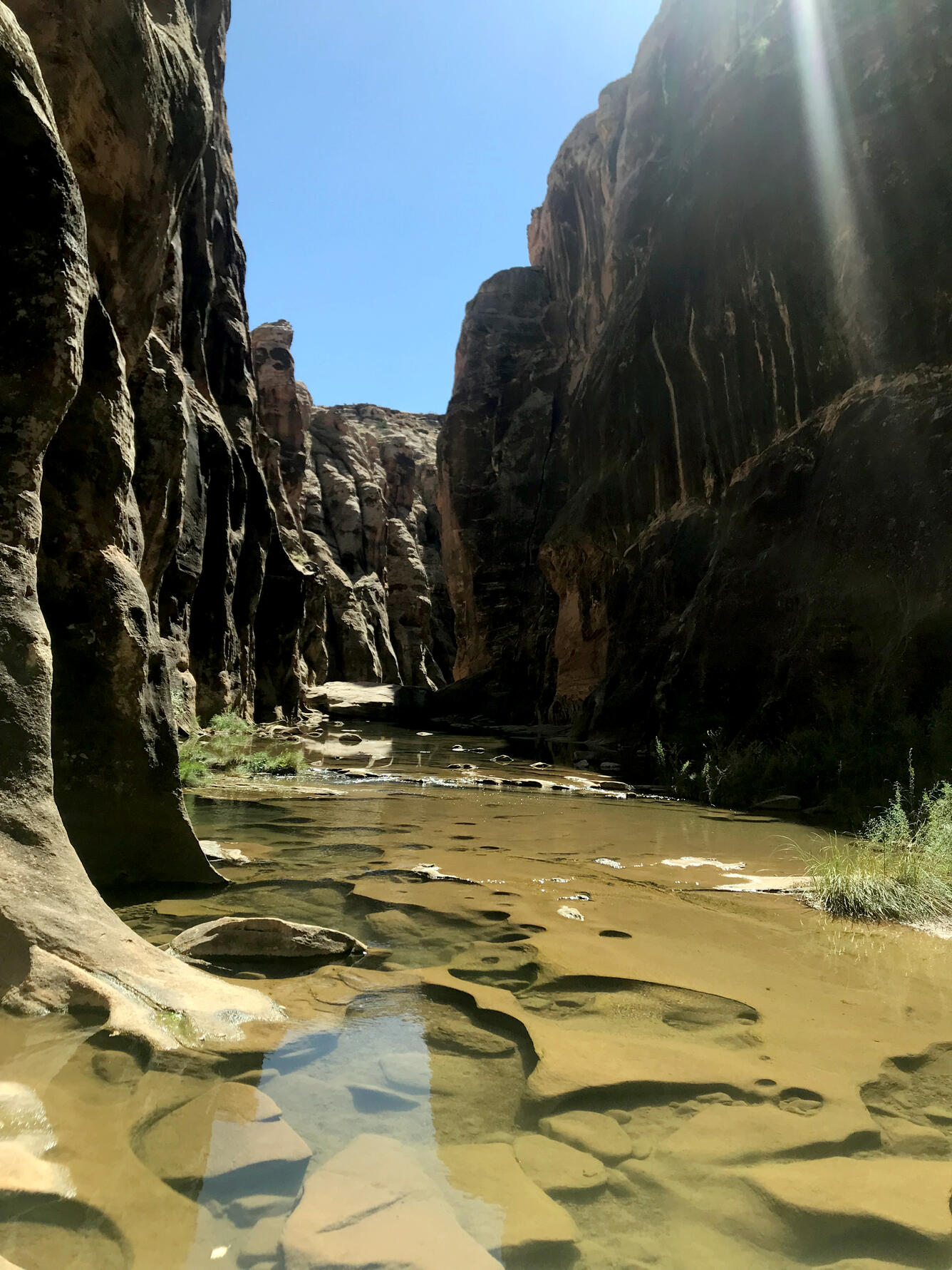 Photograph showing Clear Creek as it flows through a narrow canyon south of Winslow, Arizona