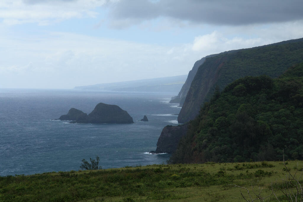 Cliffs meet the ocean in the North Kohala District of Hawaii