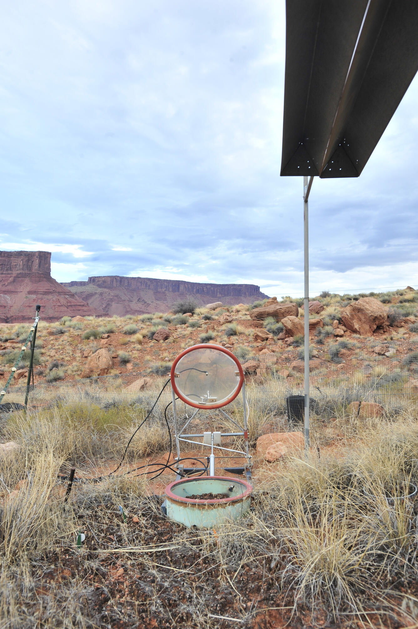 Photo of Biocrust outdoor testing plots