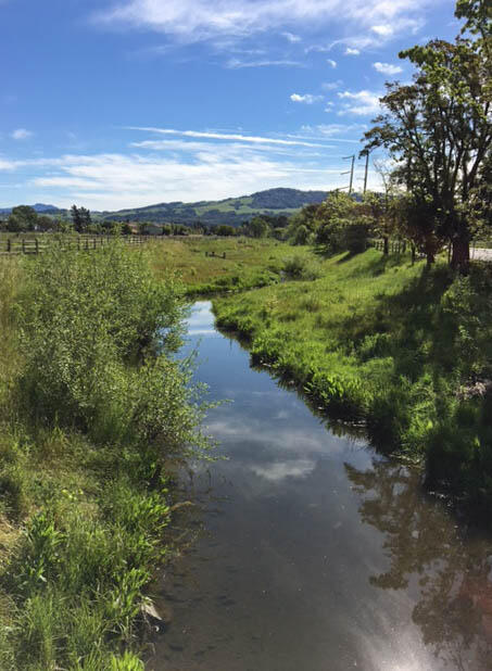 Colgan Creek, California