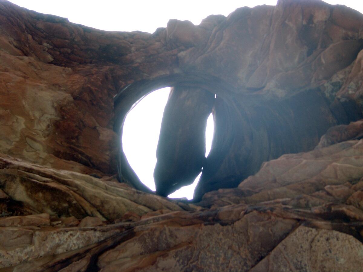 This is a photo of a pothole in a ledge of Esplanade Sandstone.