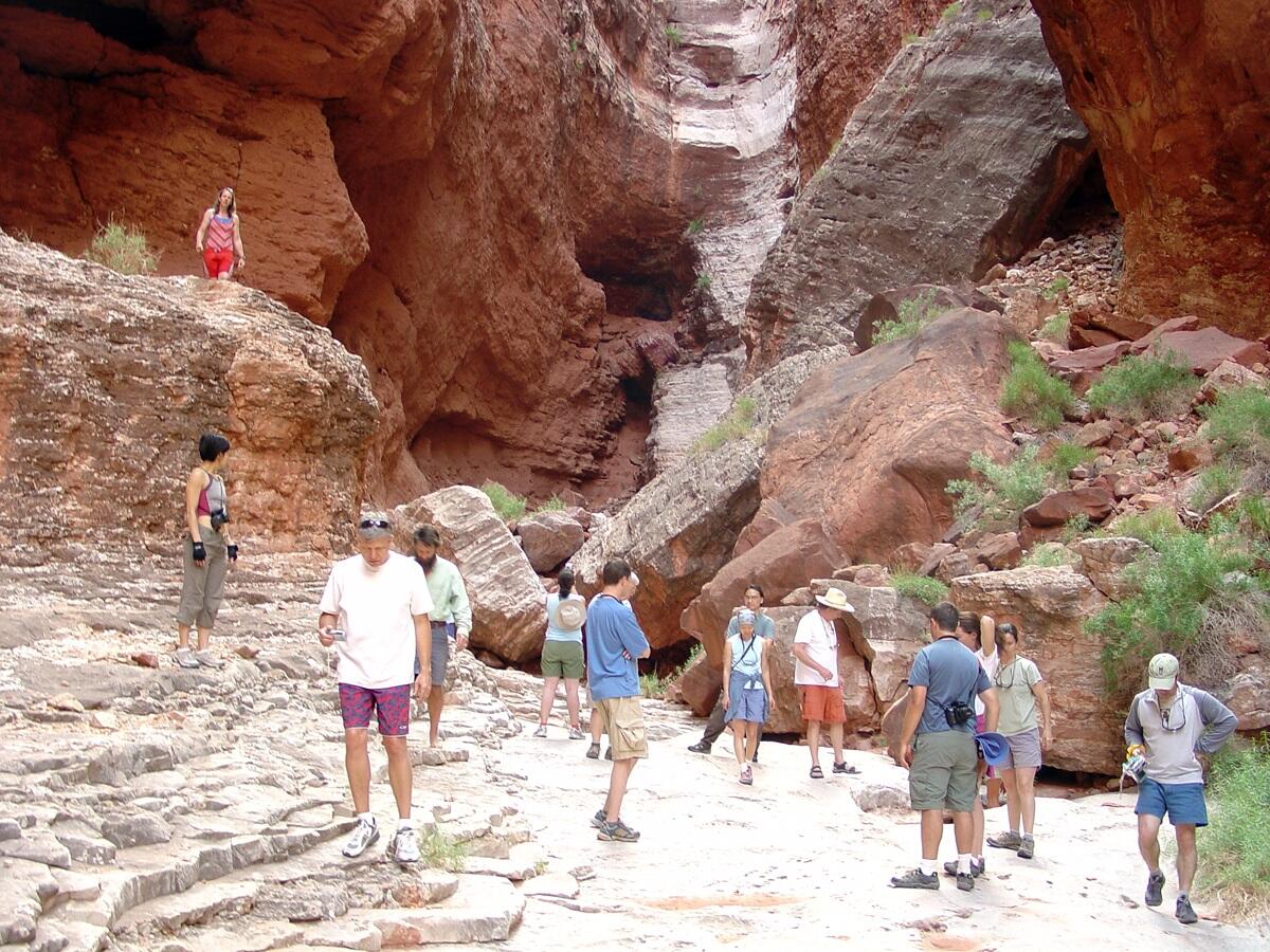 This is a photo of canyon adventurers looking at fossils in the Redwall Limestone at Nautiloid Canyon.