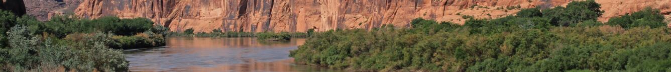 The Colorado River as it passes through red canyons with green vegetation at the water's edge