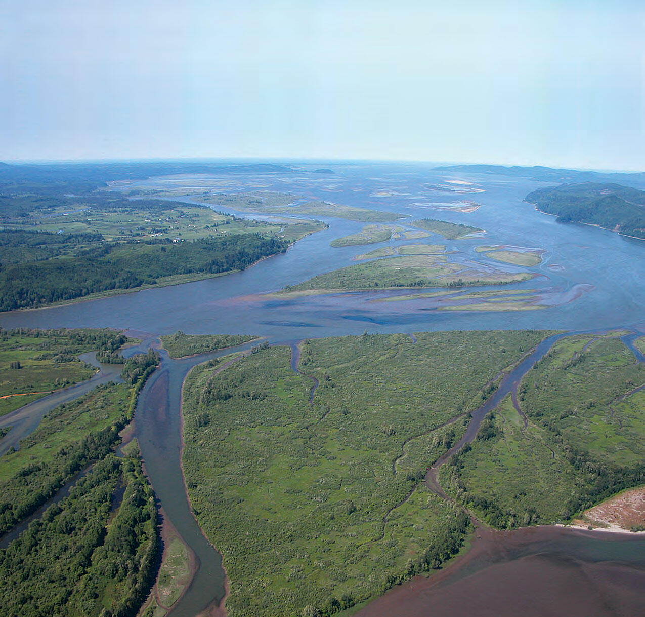 An estuary with many channels widening towards the sea through lush forests and grasslands, village in distance.