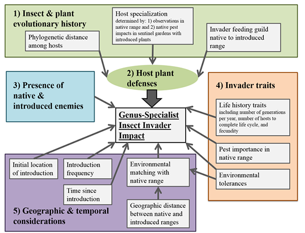 Conceptual model about specialist, introduced insects