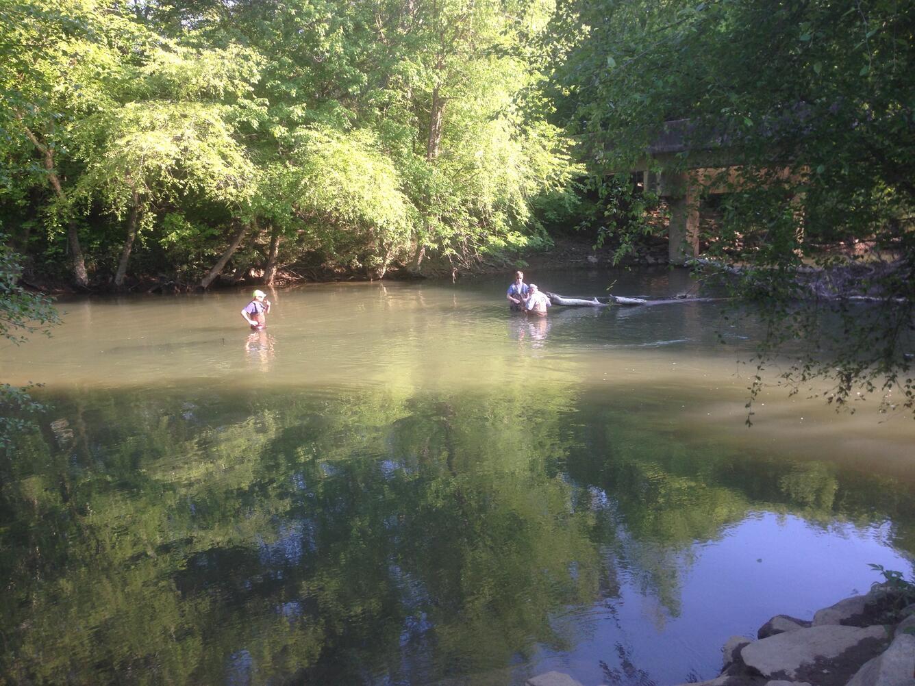 Scientists collecting data in the Conasauga River, GA