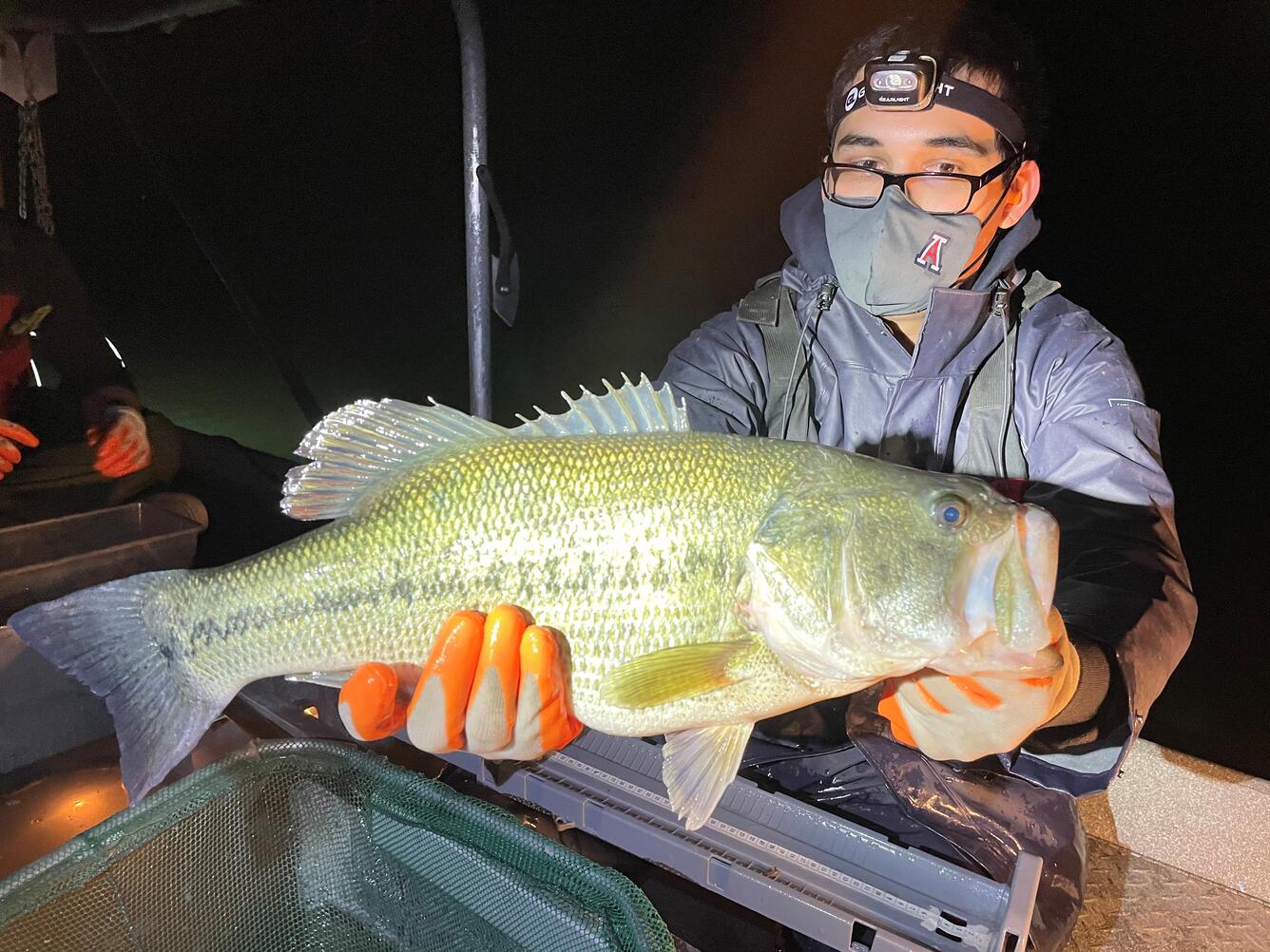 Steven Ingram holds a largemouth bass in Arizona reservoirs