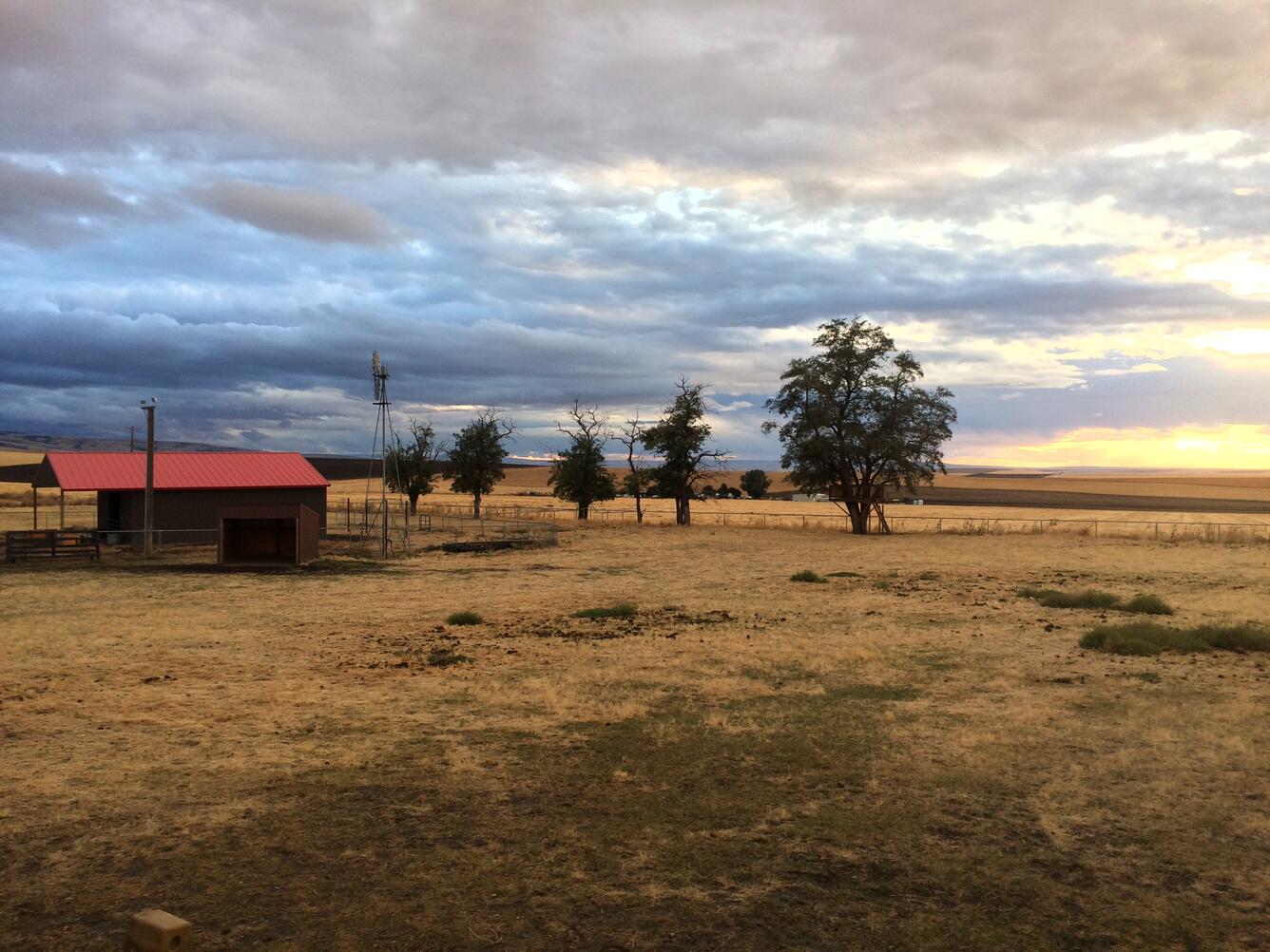 umatilla farm
