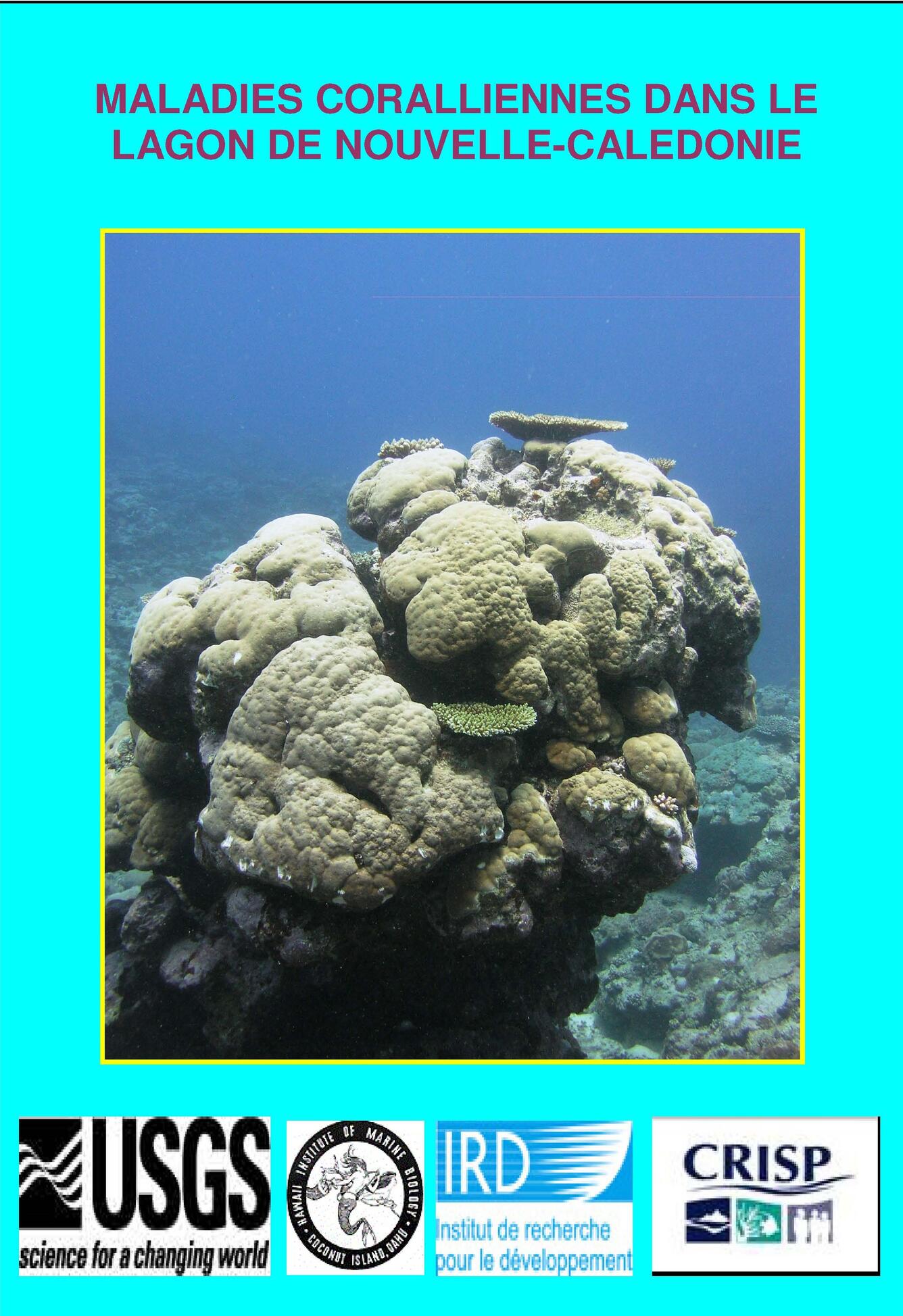 Coral disease cards New Caledonia French