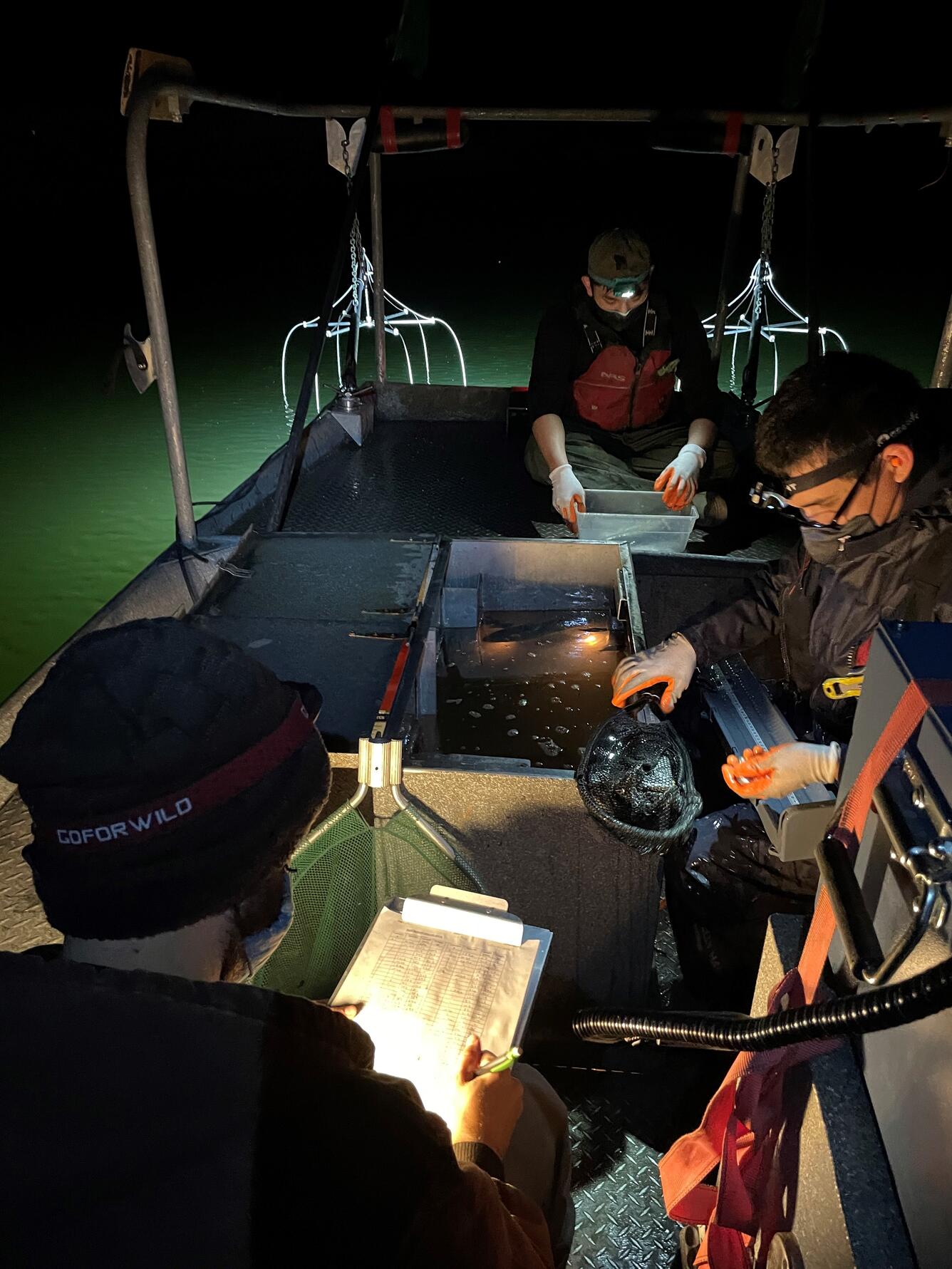 Arizona Cooperative Research Unit Graduate students test new fishing techniques in Western canyon-bound reservoirs.