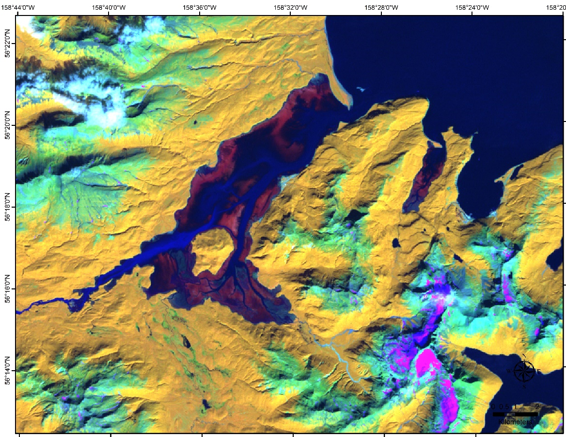 Landsat enhanced satellite image of submerged aquatic vegetation in Chignik Lagoon and Mud Bay, Alaska