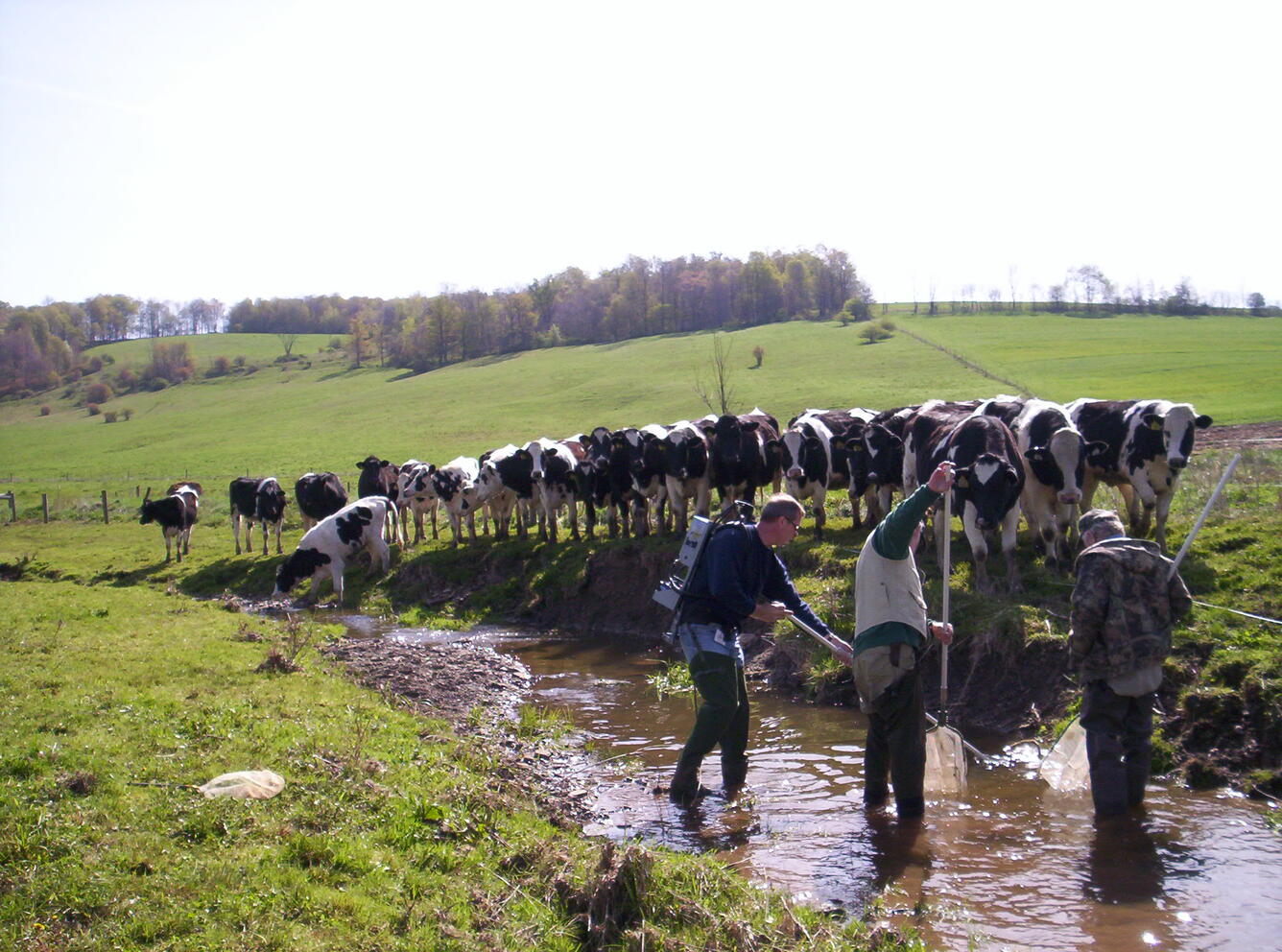Cow Pasture Electro-Fishing
