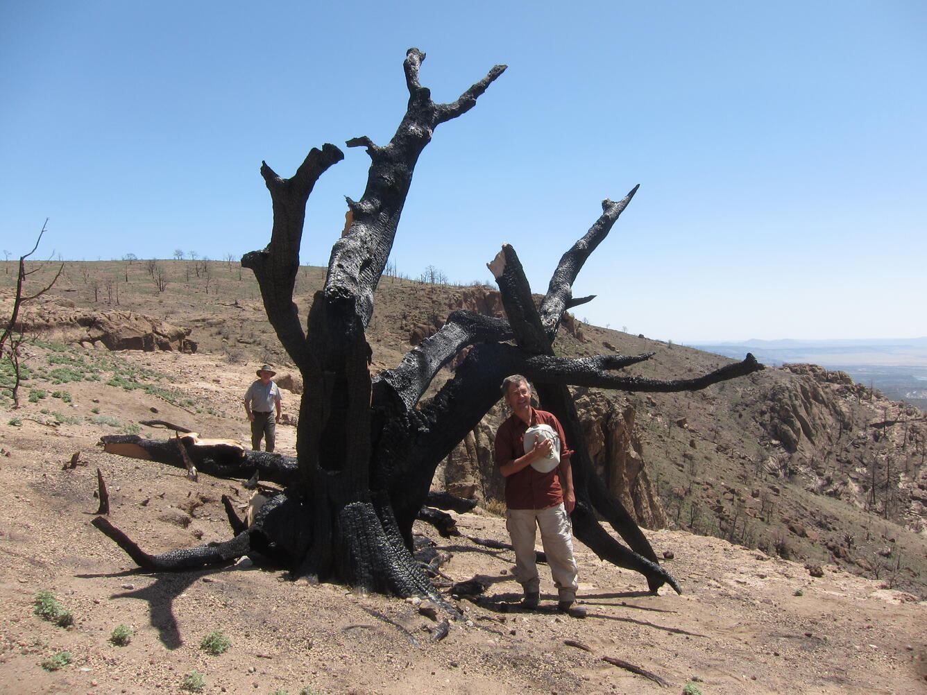 Dr. Craig Allen standing next to a burned tree trunk in the Jemez Mountains in New Mexico.