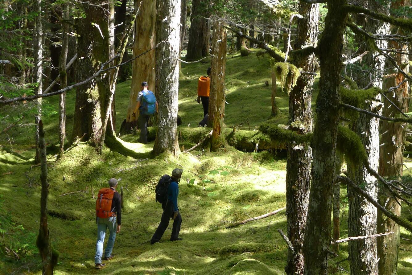2016 Fairweather Fault research crew commute