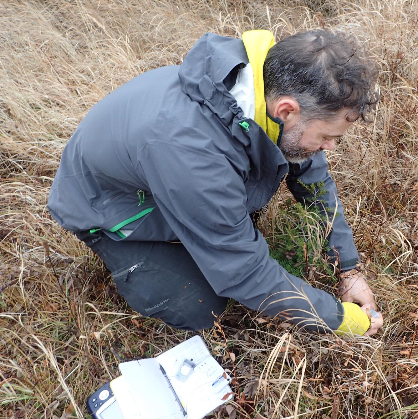 Scientist doing fieldwork