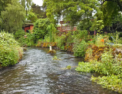 Crystal Springs Creek