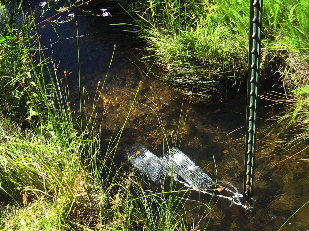 Diffusive Gradients in Thin Films (DGT) sampler deployed in High Ore Creek, Montana