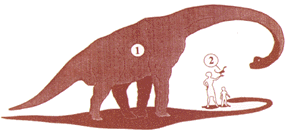 dinosaur