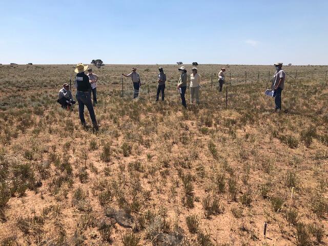 A group stands in a grasslands near an experimental site.