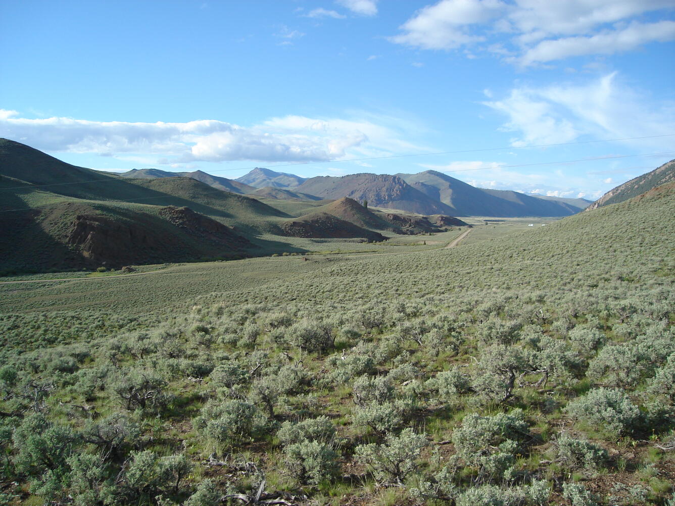 Sagebrush Steppe