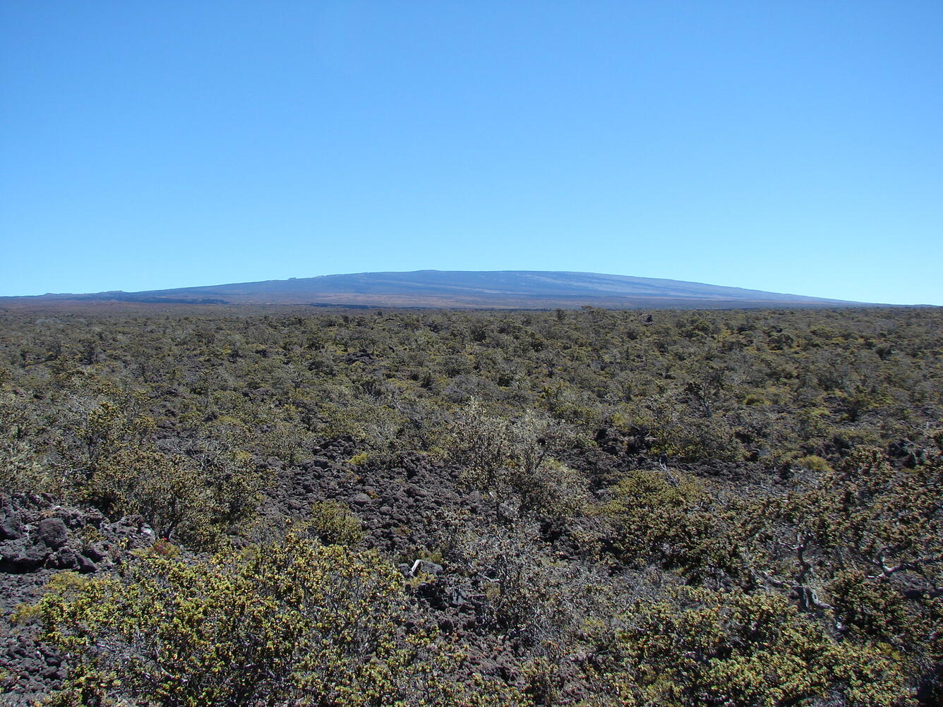 Landscape view of Hawaii Island