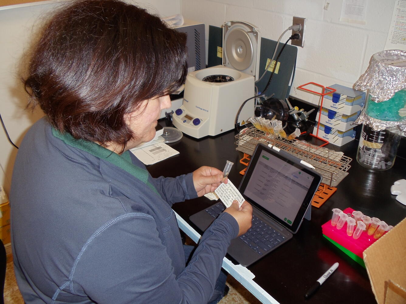 Dr. Deborah Iwanowicz inventorying new samples