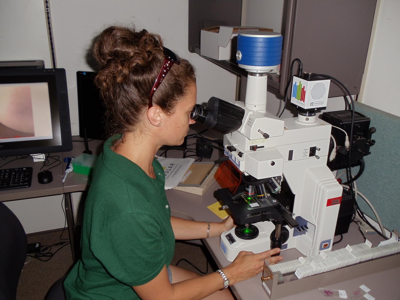 Heather Walsh using fluorescent microscope