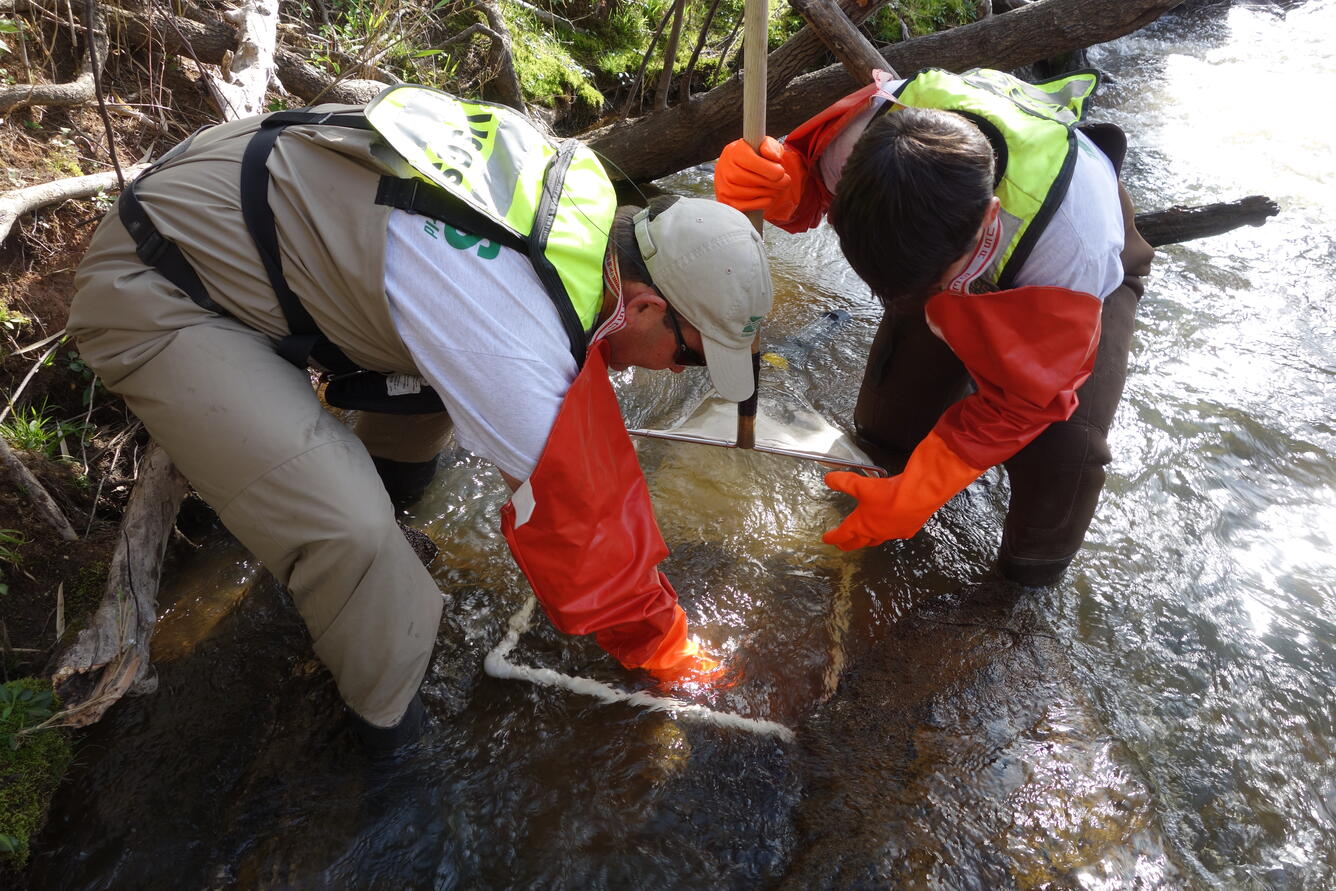 Sample collection during SESQA ecological survey