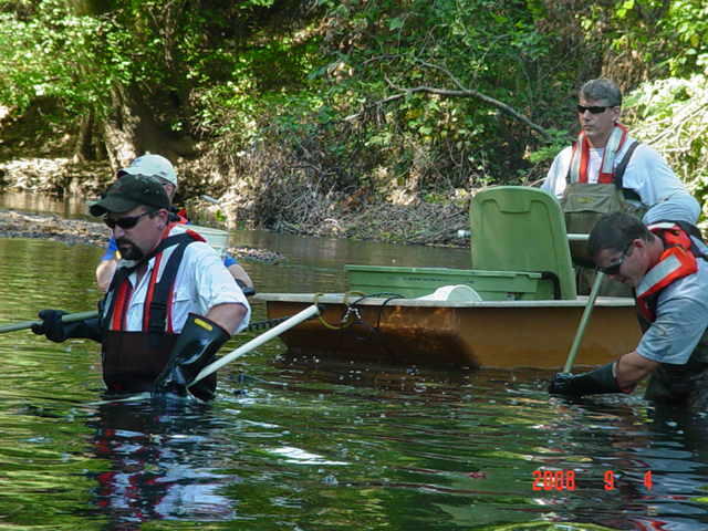 Fish Shocking on the Bound Brook