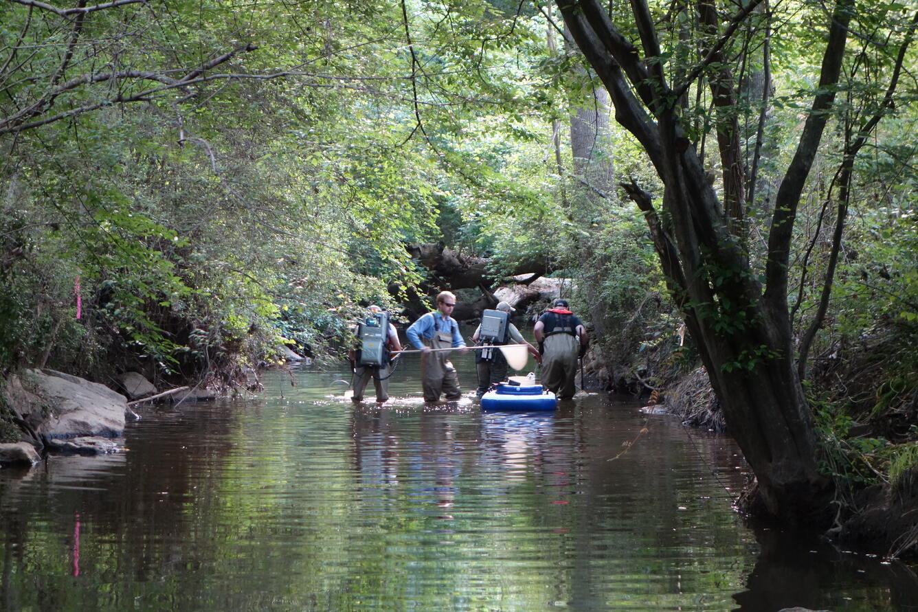 Collecting samples during SESQA ecological survey