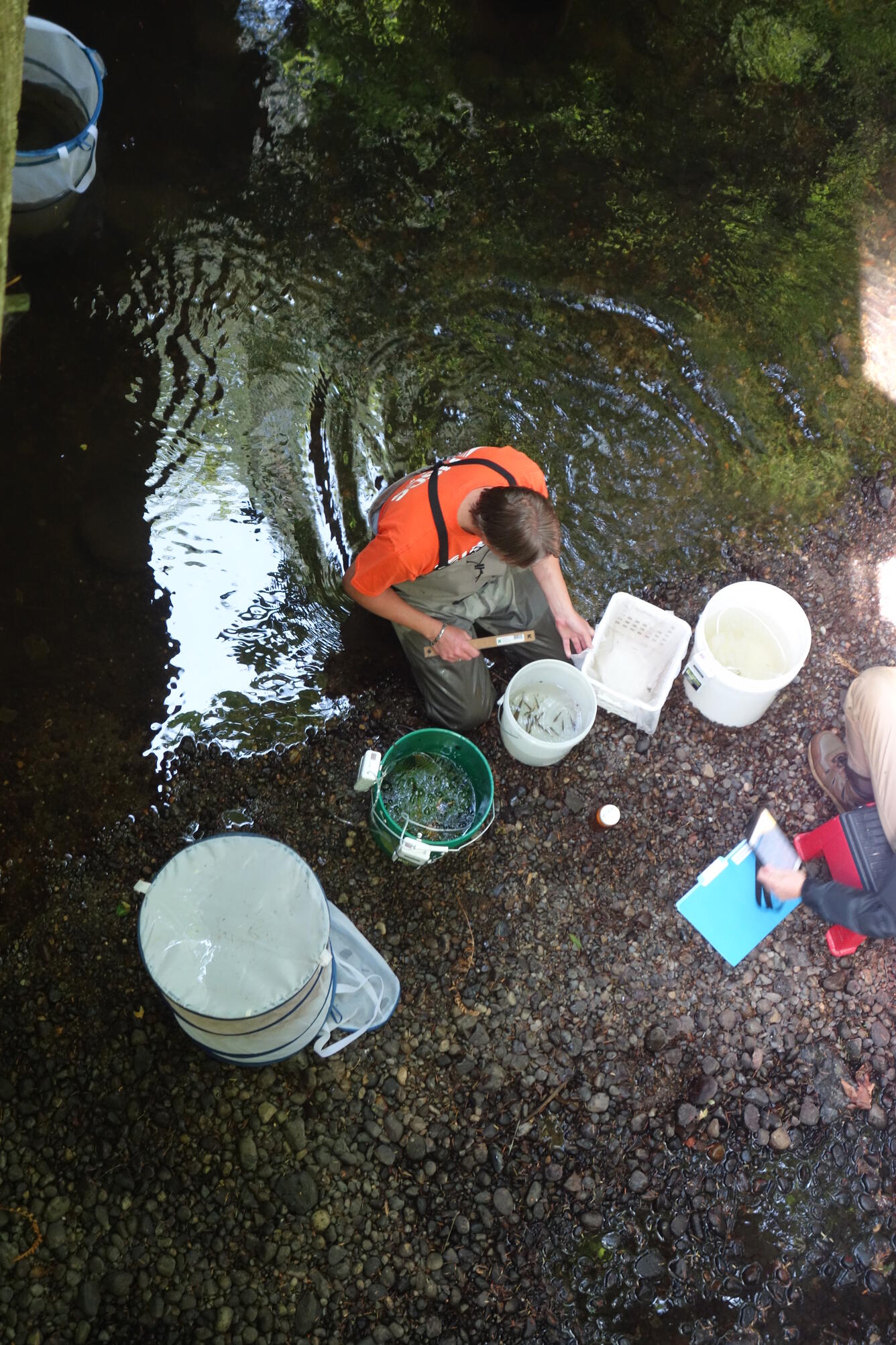 Collecting samples during PNSQA ecological survey