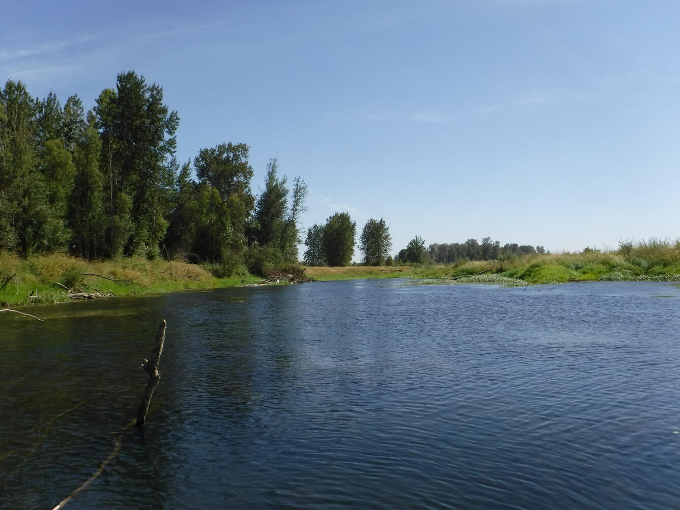 willamette river floodplain 1