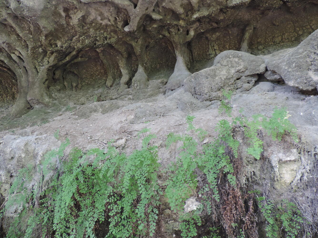 Geology in the Blanco quadrangle