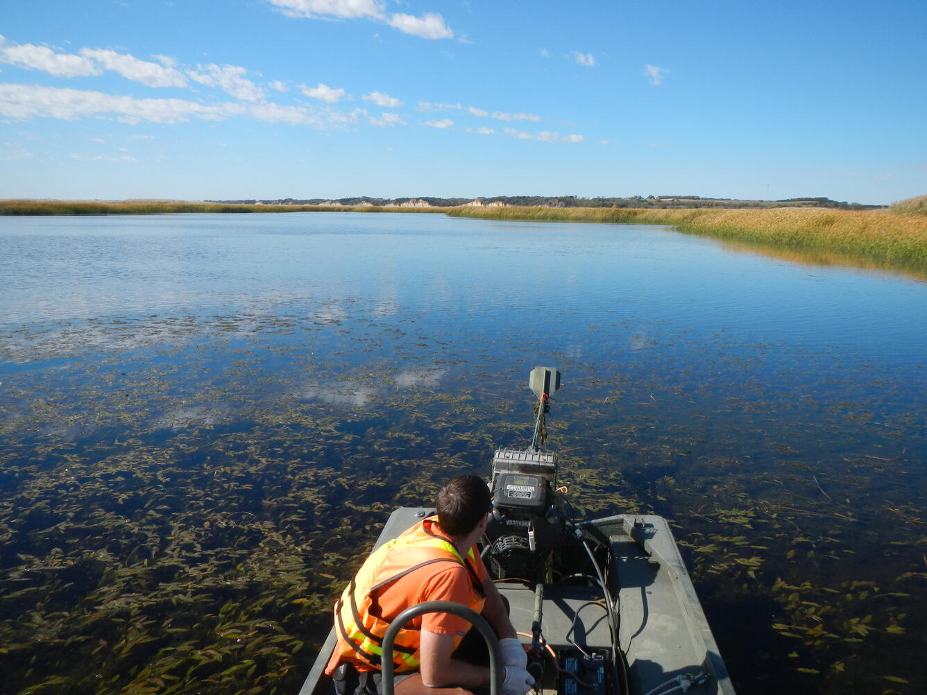 Missouri River backwater water-quality sampling