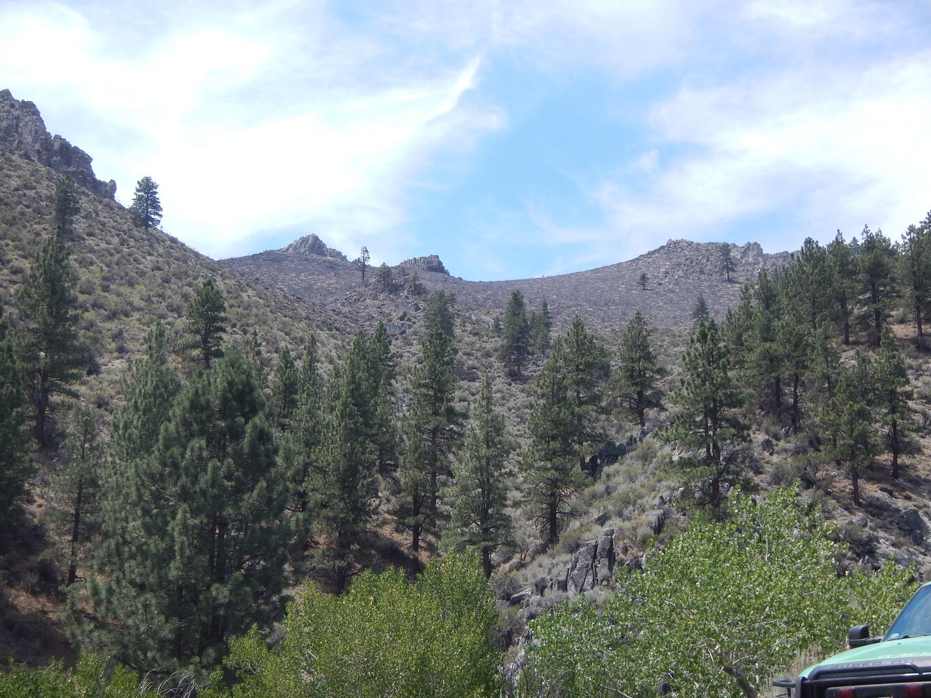 mountain side with trees and a truck in the corener