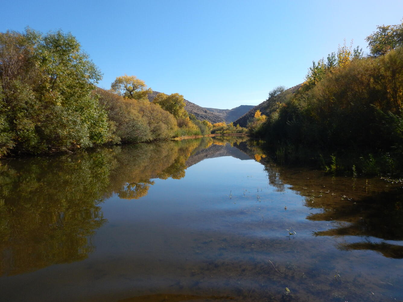 View downstream, Carson River, Nevada