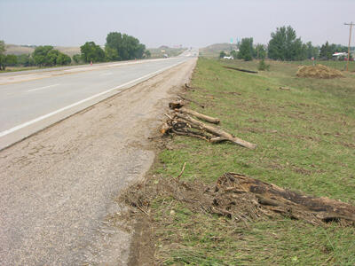 Looking North along Highway 79 near Hermosa
