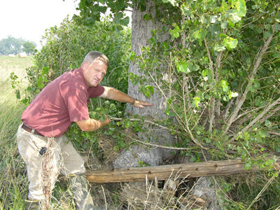 High-water mark on tree near Hermosa