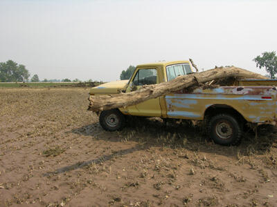 Large tree deposited on truck after flood in SD