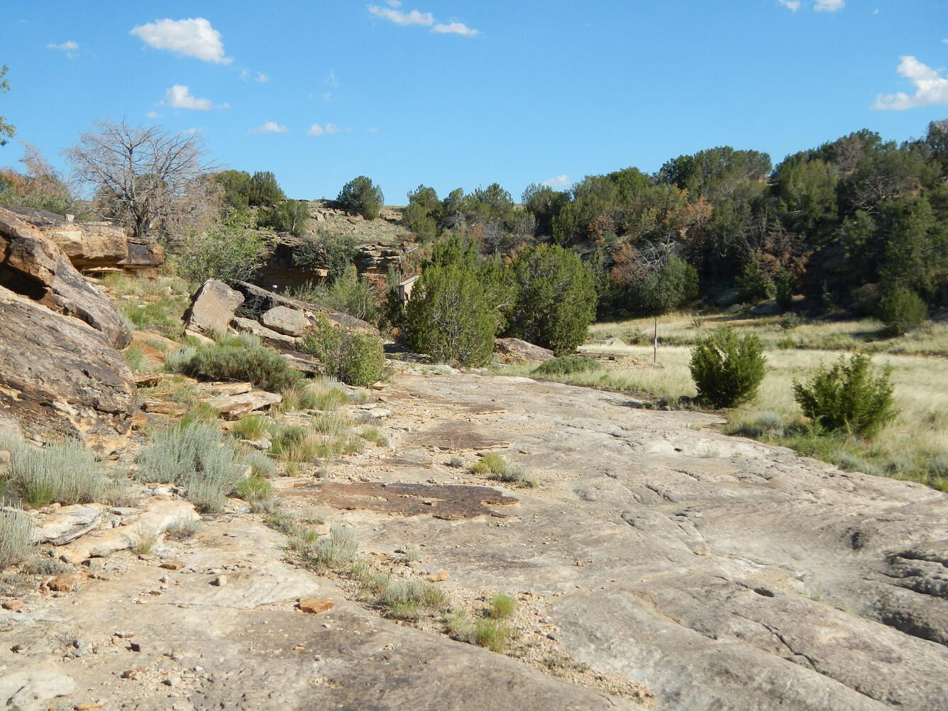 Eastern Colorado Crest-Stage Gage Network