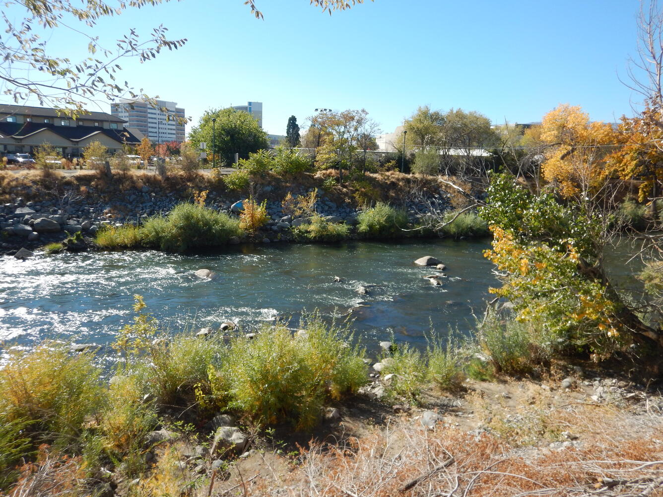Truckee River at Reno, Nev.