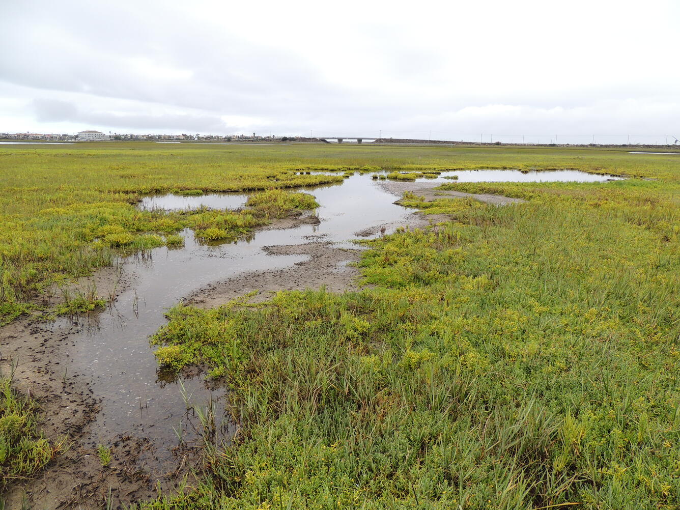 A photo of Seal Beach National Wildlife Refuge