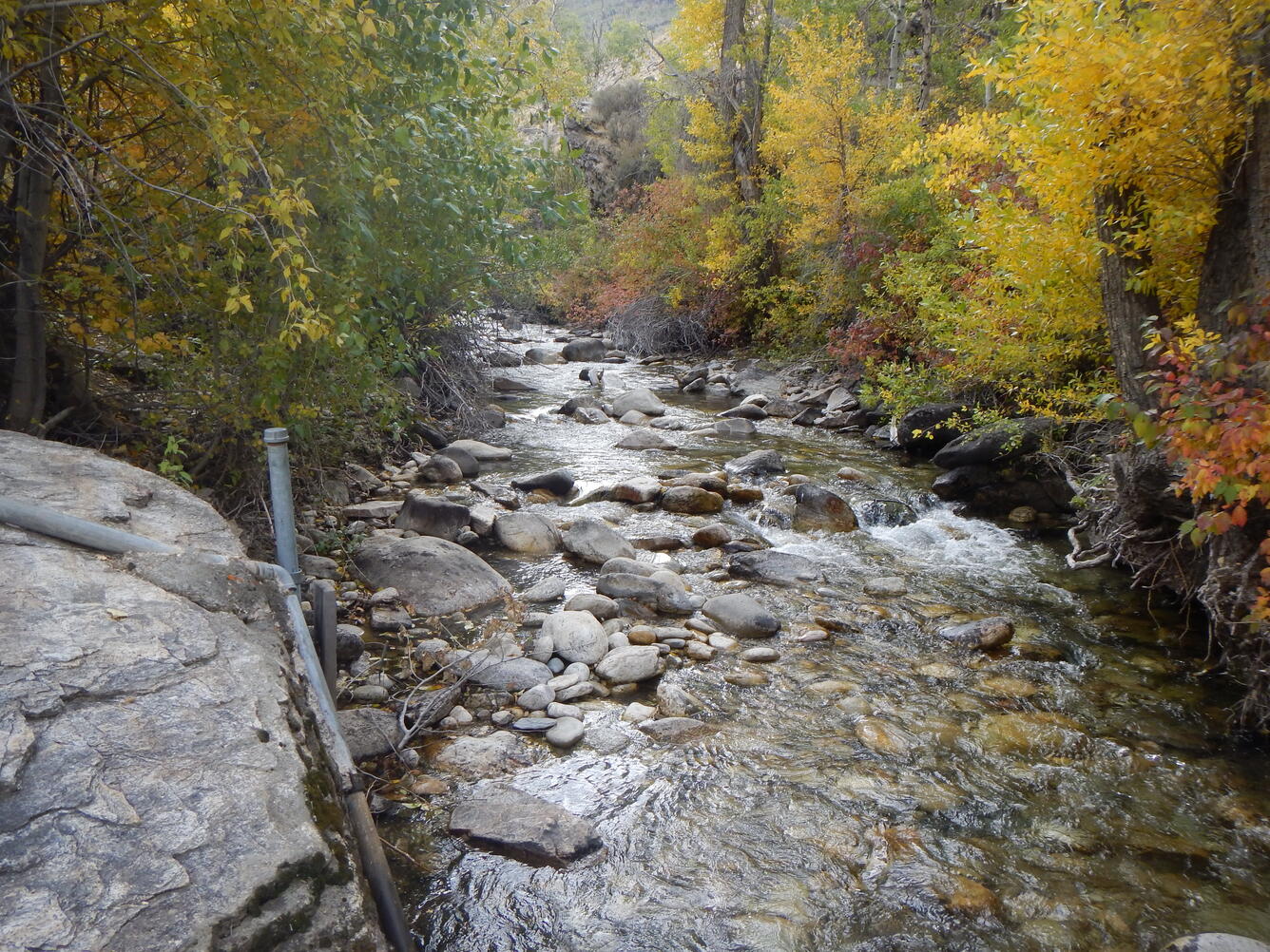 Lamoille Creek near Lamoille, Nevada