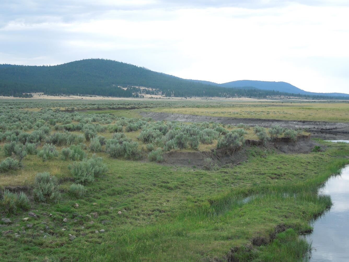 Sprague river floodplain