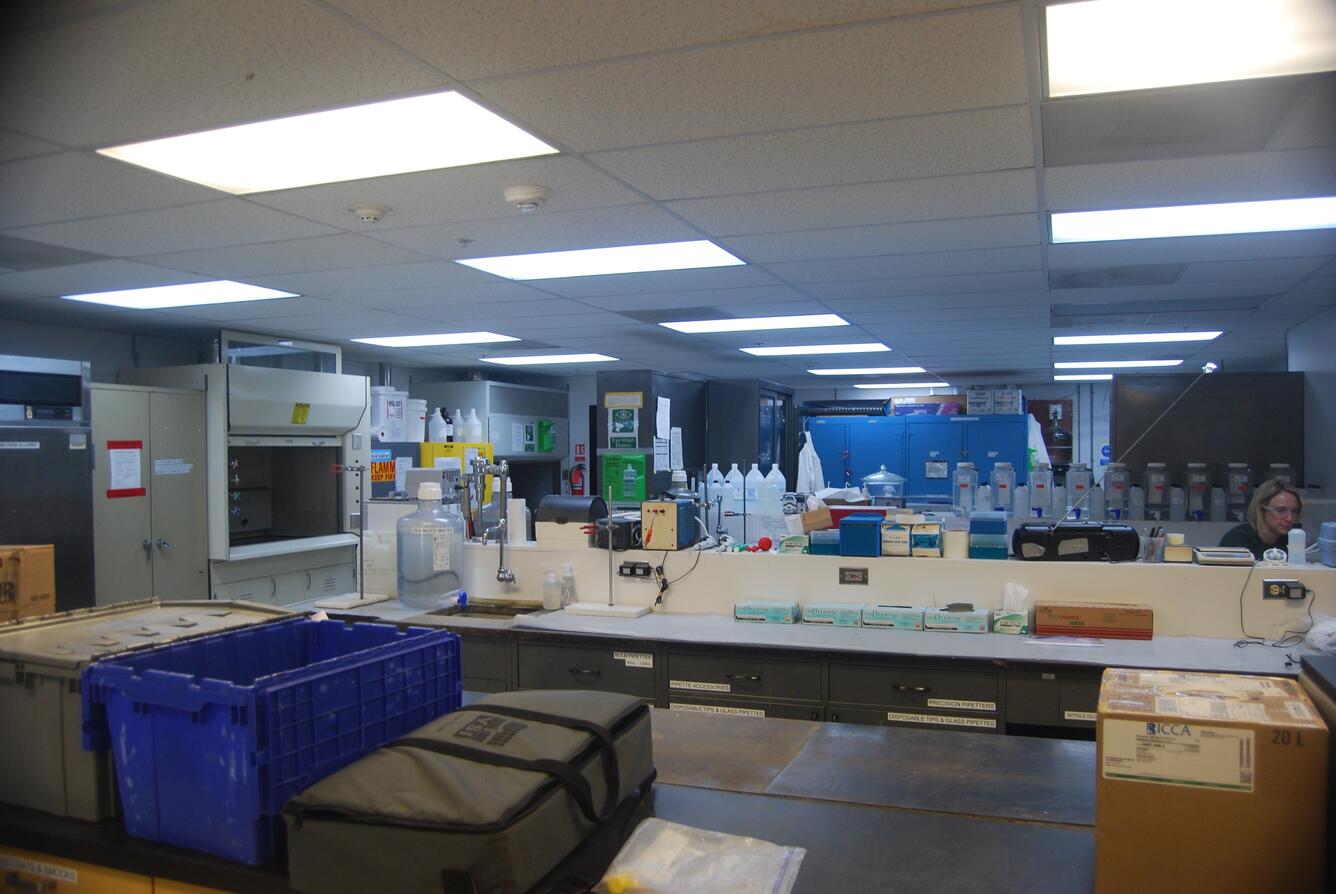 lab