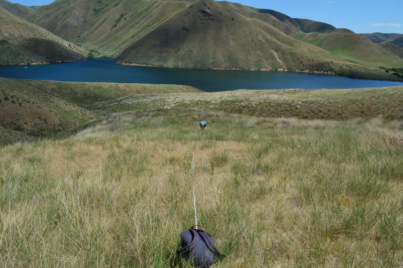 Field worker monitoring post-fire vegetation in Idaho