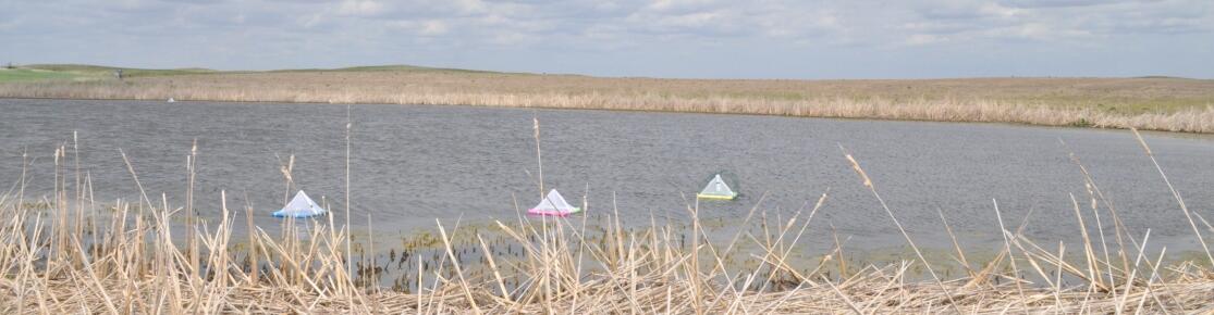 traps used to catch insects to test them for pesticide contamination in the prairie pothole region of the U.S. 