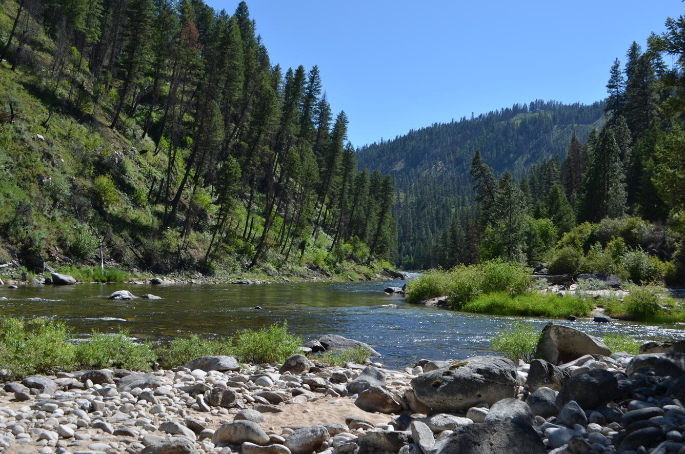 fork of Salmon River