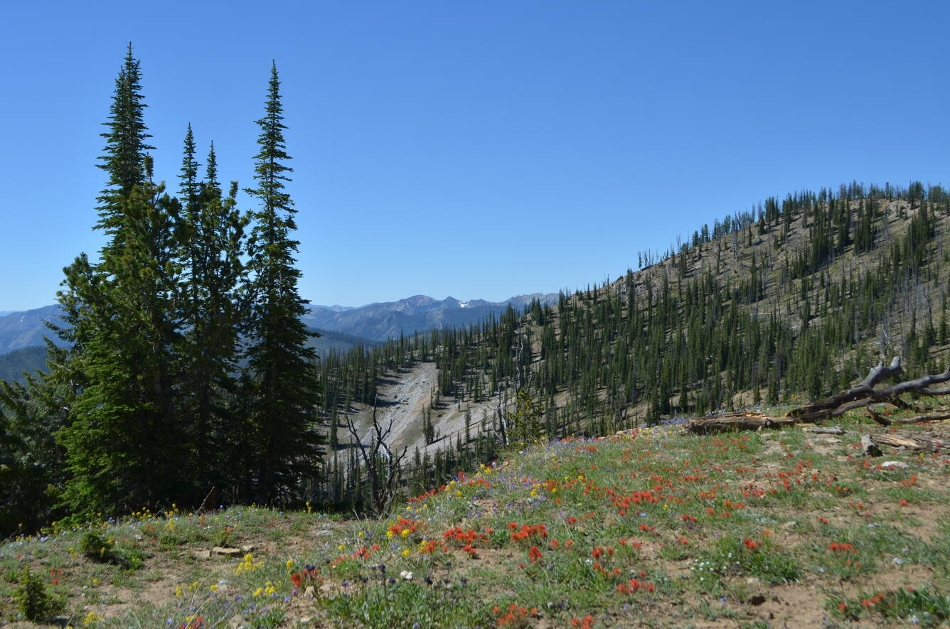 Salmon River Mountains, ID