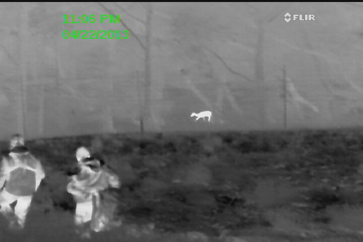 Biologists observe an axis deer using a FLIR system